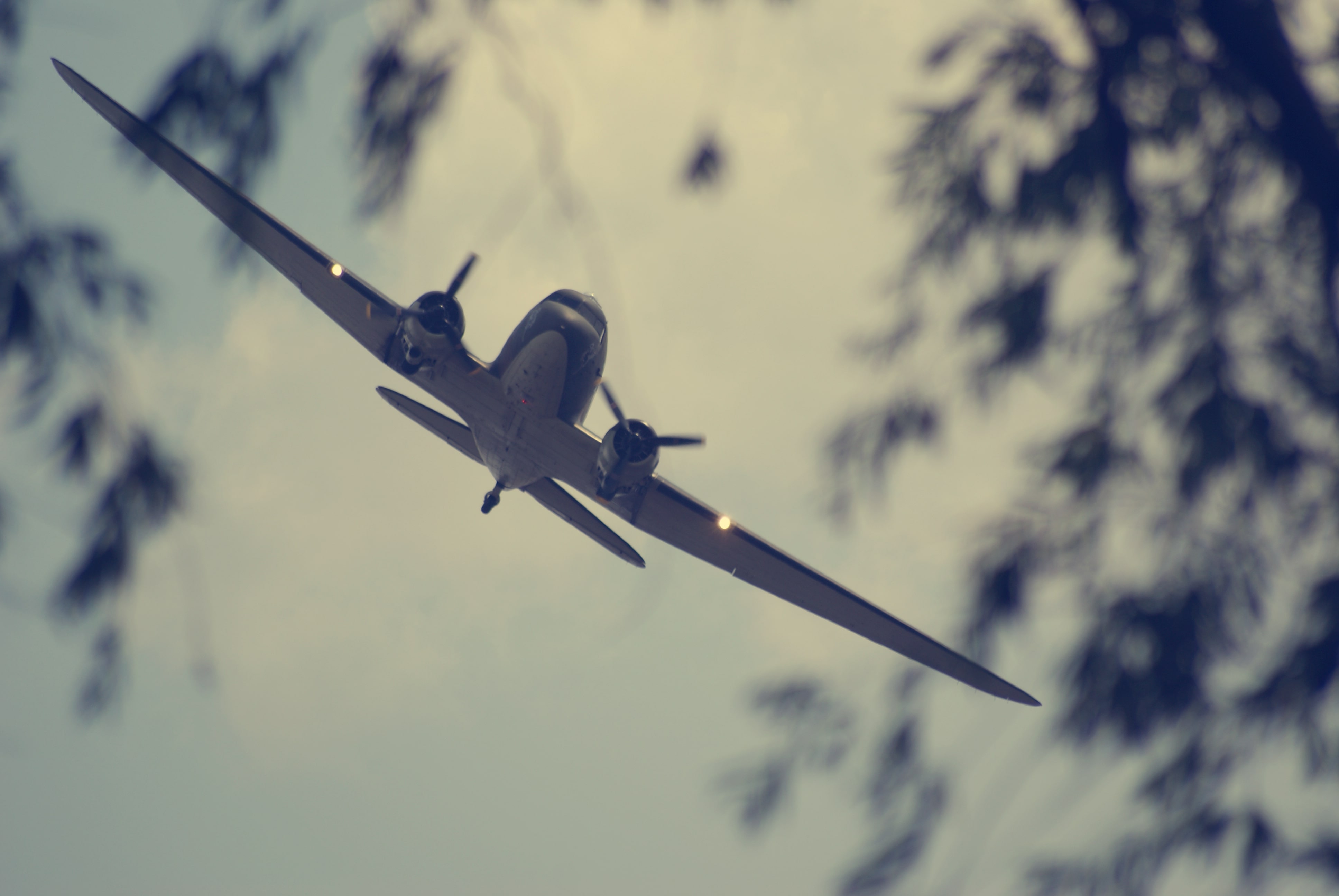 World War 2 plane flying over trees